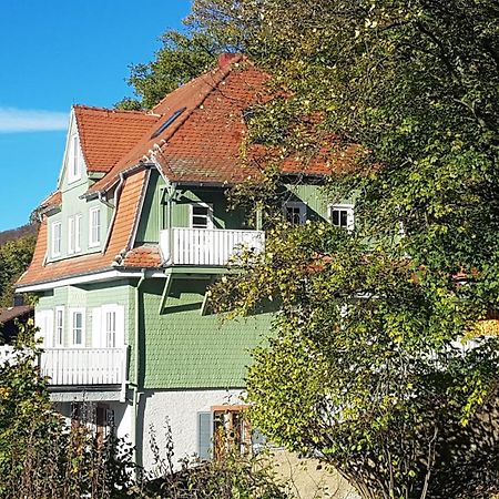 Waldheim Lindenfels Apartment ภายนอก รูปภาพ