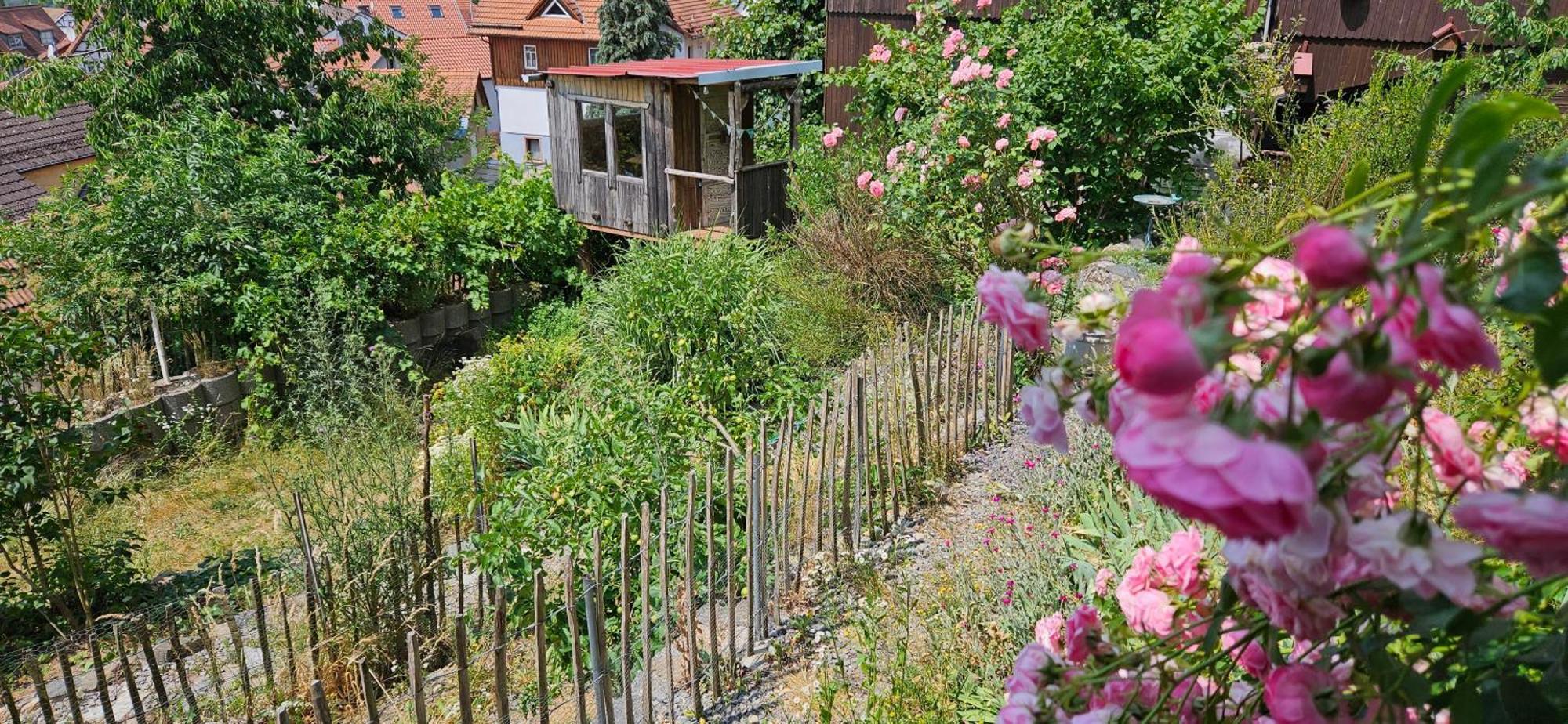 Waldheim Lindenfels Apartment ภายนอก รูปภาพ